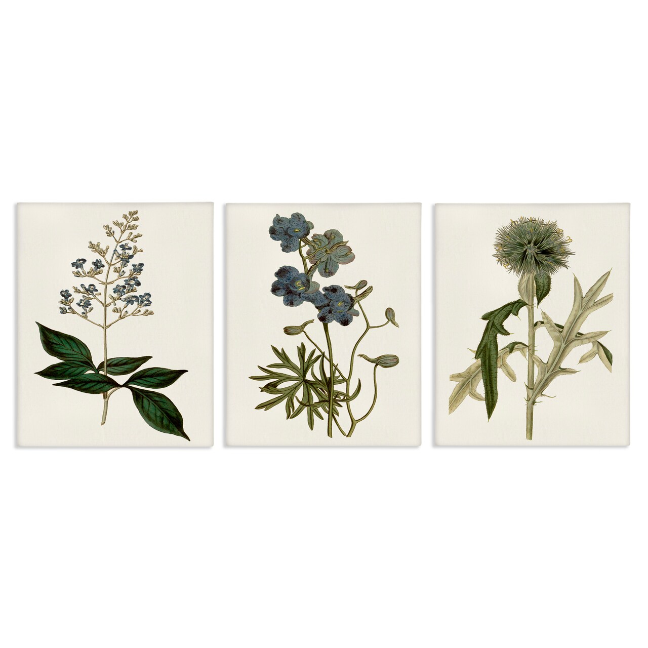 Stupell Industries Vintage Botanical Flowers on Beige Canvas Wall Art